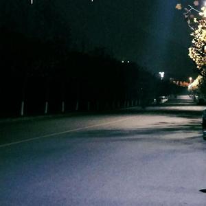 日本性感少妇毛片播放视频
